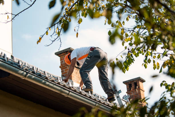 Best Rubber Roofing (EPDM, TPO)  in Northview, MI