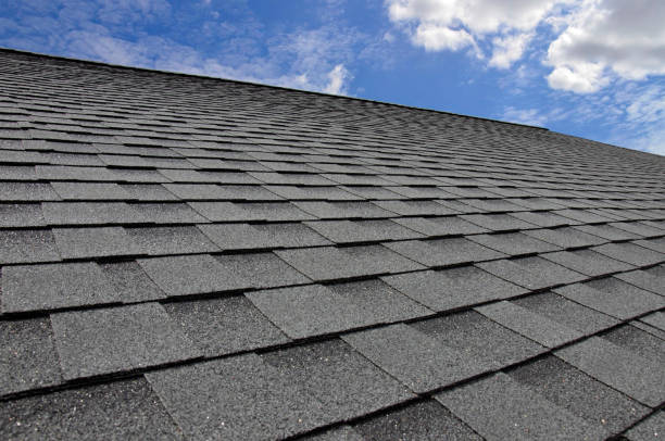 Trusted Northview, MI Roofing Services Experts