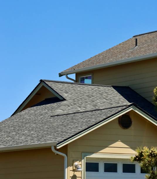 Best Roof Moss and Algae Removal  in Northview, MI